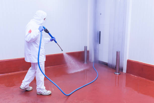 Best Parking Lot and Garage Cleaning  in Pearl Beach, MI