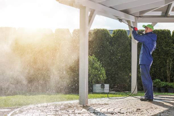 Best Boat and Dock Cleaning  in Pearl Beach, MI