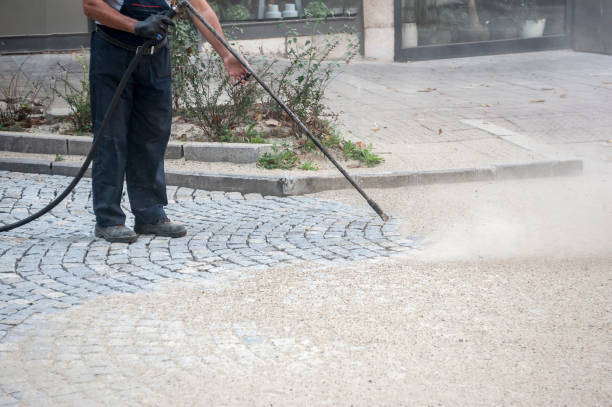 Best Factory Floor Cleaning  in Pearl Beach, MI