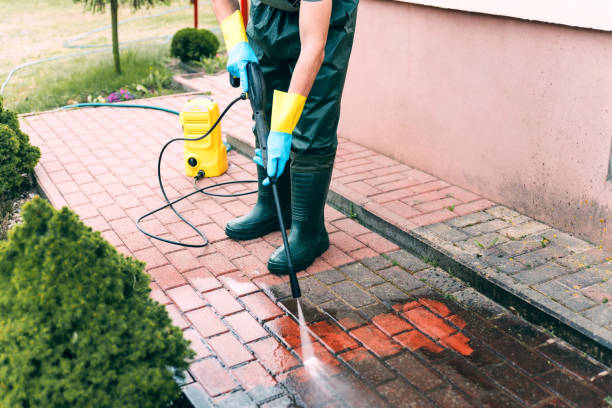 Best Sidewalk and Walkway Cleaning  in Pearl Beach, MI