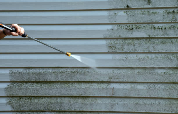 Best Patio and Deck Pressure Washing  in Pearl Beach, MI