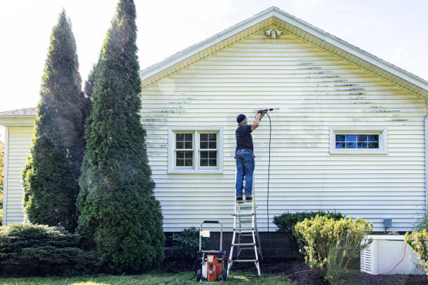 Best Gutter Cleaning  in Pearl Beach, MI