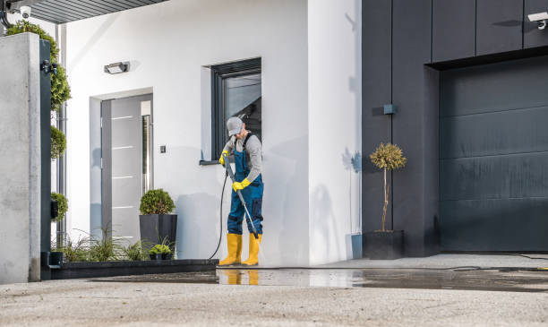 Best Building Exterior Washing  in Pearl Beach, MI